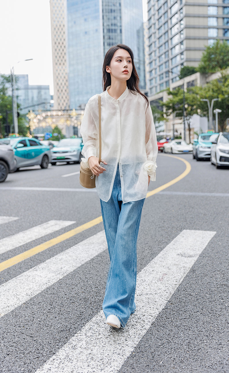 Transparent Button up Blouse